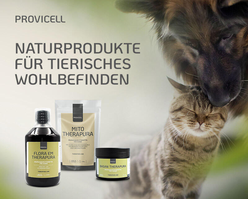 Provicell
